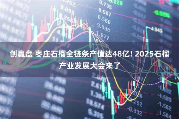 创赢盘 枣庄石榴全链条产值达48亿! 2025石榴产业发展大会来了
