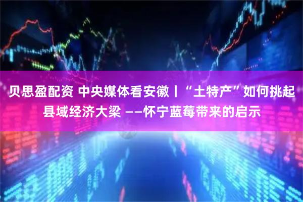贝思盈配资 中央媒体看安徽丨“土特产”如何挑起县域经济大梁 ——怀宁蓝莓带来的启示