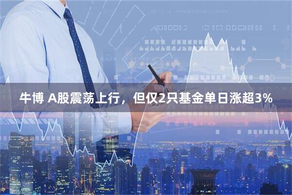牛博 A股震荡上行，但仅2只基金单日涨超3%
